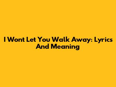 I Won't Let You Walk Away: Lyrics And Meaning