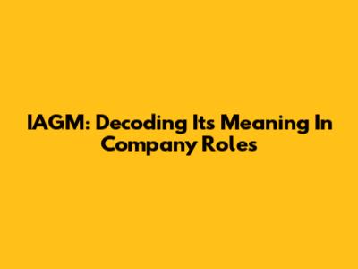IAGM: Decoding Its Meaning In Company Roles