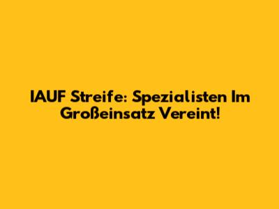 IAUF Streife: Spezialisten Im Großeinsatz Vereint!