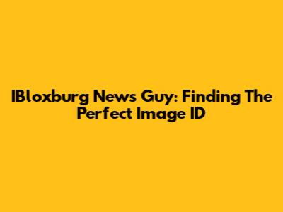 IBloxburg News Guy: Finding The Perfect Image ID