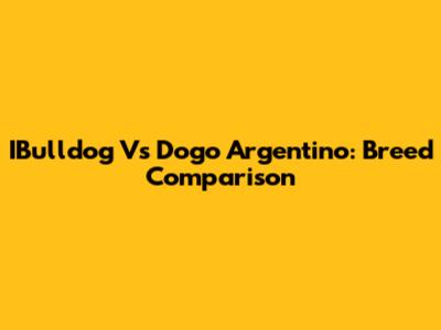 IBulldog Vs Dogo Argentino: Breed Comparison
