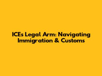 ICE's Legal Arm: Navigating Immigration & Customs