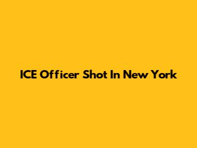 ICE Officer Shot In New York