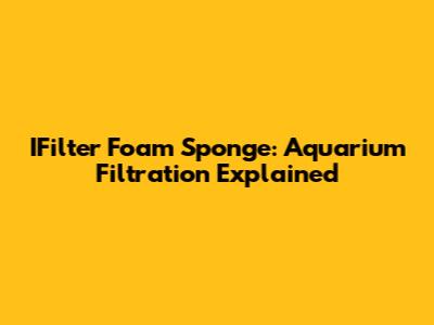 IFilter Foam Sponge: Aquarium Filtration Explained