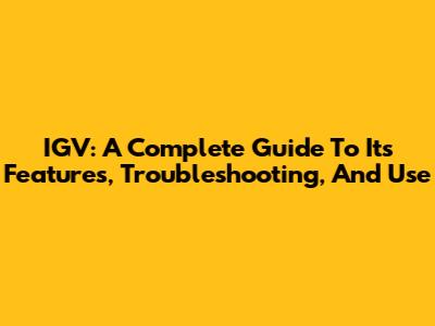 IGV: A Complete Guide To Its Features, Troubleshooting, And Use