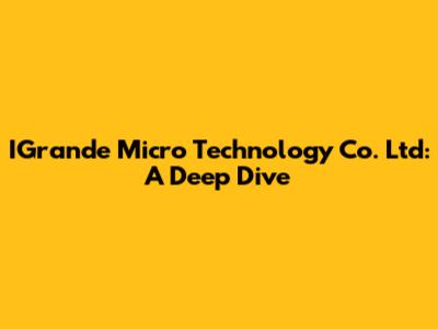 IGrande Micro Technology Co. Ltd: A Deep Dive