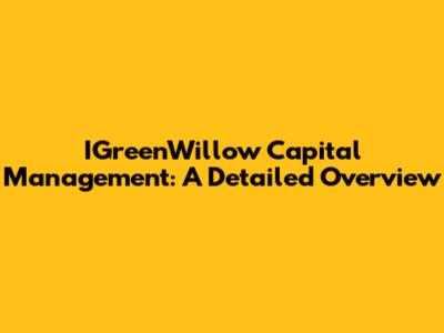 IGreenWillow Capital Management: A Detailed Overview