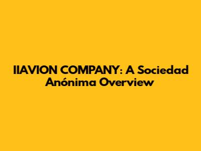 IIAVION COMPANY: A Sociedad Anónima Overview