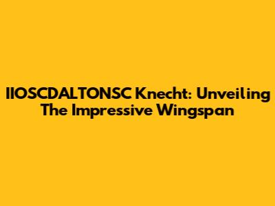 IIOSCDALTONSC Knecht: Unveiling The Impressive Wingspan