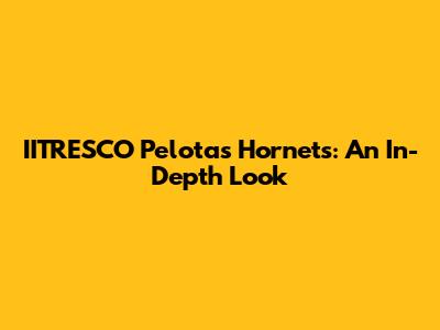 IITRESCO Pelotas Hornets: An In-Depth Look