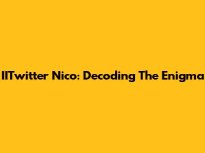 IITwitter Nico: Decoding The Enigma