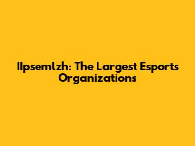 IIpsemlzh: The Largest Esports Organizations