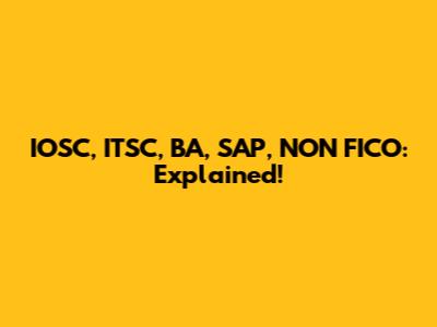 IOSC, ITSC, BA, SAP, NON FICO: Explained!