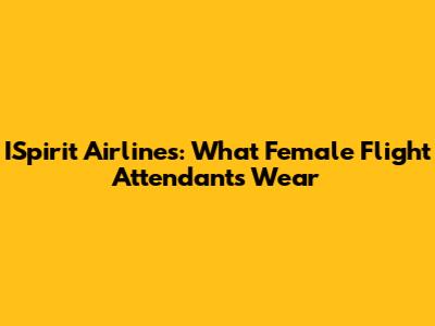 ISpirit Airlines: What Female Flight Attendants Wear