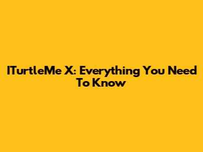 ITurtleMe X: Everything You Need To Know