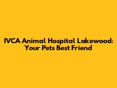 IVCA Animal Hospital Lakewood: Your Pet's Best Friend