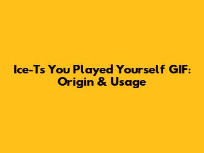 Ice-T's 'You Played Yourself' GIF: Origin & Usage