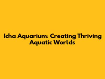Icha Aquarium: Creating Thriving Aquatic Worlds