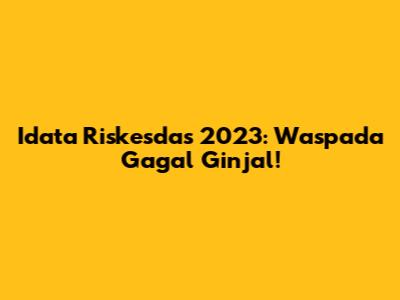 Idata Riskesdas 2023: Waspada Gagal Ginjal!