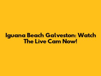 Iguana Beach Galveston: Watch The Live Cam Now!