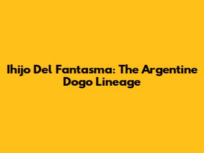 Ihijo Del Fantasma: The Argentine Dogo Lineage