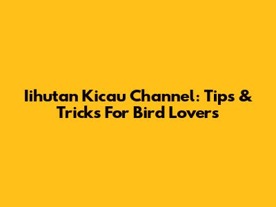 Iihutan Kicau Channel: Tips & Tricks For Bird Lovers