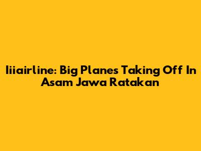 Iiiairline: Big Planes Taking Off In Asam Jawa Ratakan
