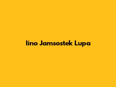 Iino Jamsostek Lupa