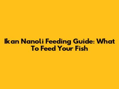 Ikan Nanoli Feeding Guide: What To Feed Your Fish