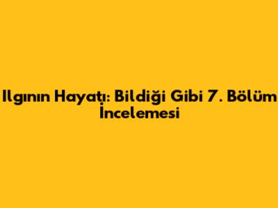 Ilgın'ın Hayatı: Bildiği Gibi 7. Bölüm İncelemesi