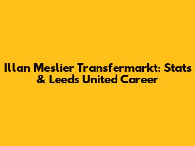 Illan Meslier Transfermarkt: Stats & Leeds United Career