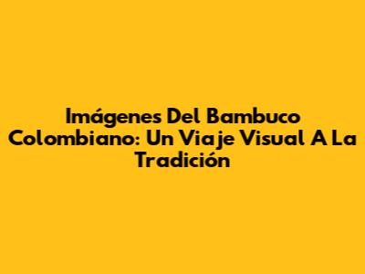 Imágenes Del Bambuco Colombiano: Un Viaje Visual A La Tradición