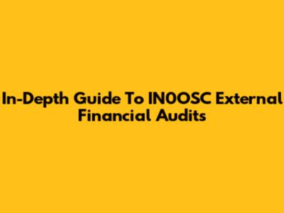 In-Depth Guide To IN0OSC External Financial Audits