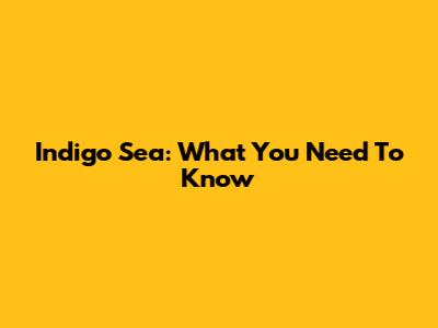 Indigo Sea: What You Need To Know