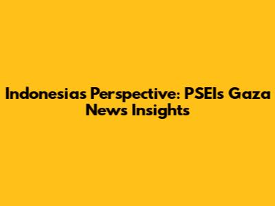 Indonesia's Perspective: PSEI's Gaza News Insights