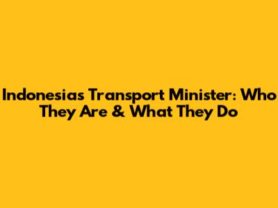 Indonesia's Transport Minister: Who They Are & What They Do