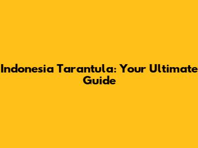 Indonesia Tarantula: Your Ultimate Guide