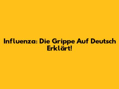 Influenza: Die Grippe Auf Deutsch Erklärt!