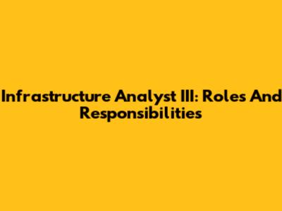 Infrastructure Analyst III: Roles And Responsibilities