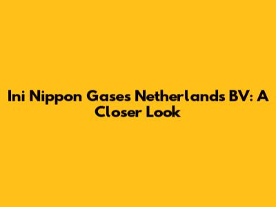 Ini Nippon Gases Netherlands BV: A Closer Look