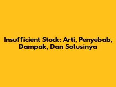 Insufficient Stock: Arti, Penyebab, Dampak, Dan Solusinya