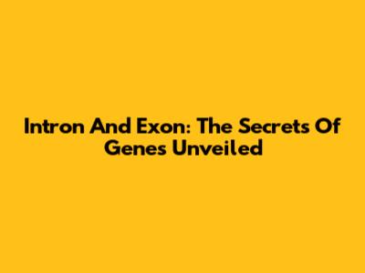 Intron And Exon: The Secrets Of Genes Unveiled