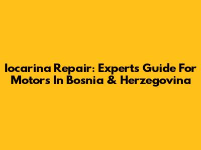 Iocarina Repair: Experts Guide For Motors In Bosnia & Herzegovina