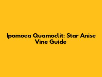 Ipomoea Quamoclit: Star Anise Vine Guide