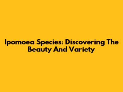 Ipomoea Species: Discovering The Beauty And Variety