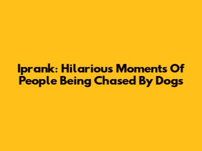 Iprank: Hilarious Moments Of People Being Chased By Dogs