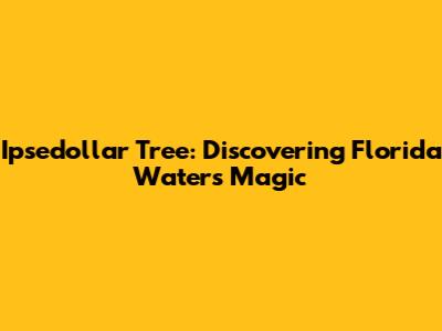 Ipsedollar Tree: Discovering Florida Water's Magic