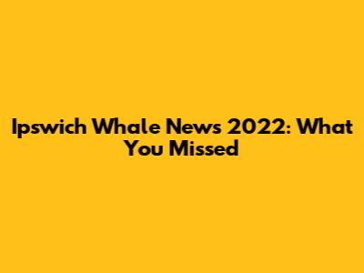 Ipswich Whale News 2022: What You Missed
