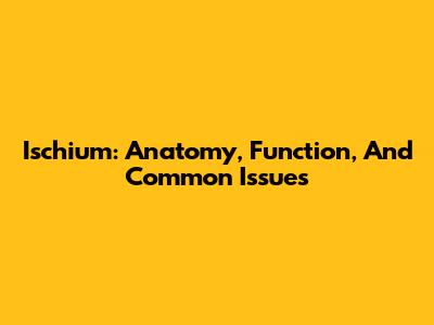 Ischium: Anatomy, Function, And Common Issues