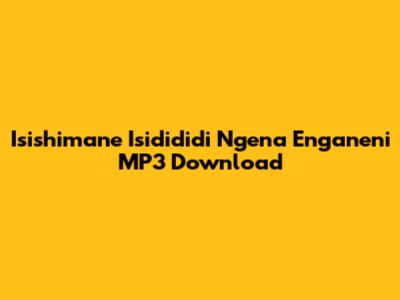 Isishimane Isidididi Ngena Enganeni MP3 Download